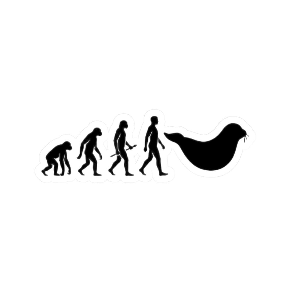 Evolution