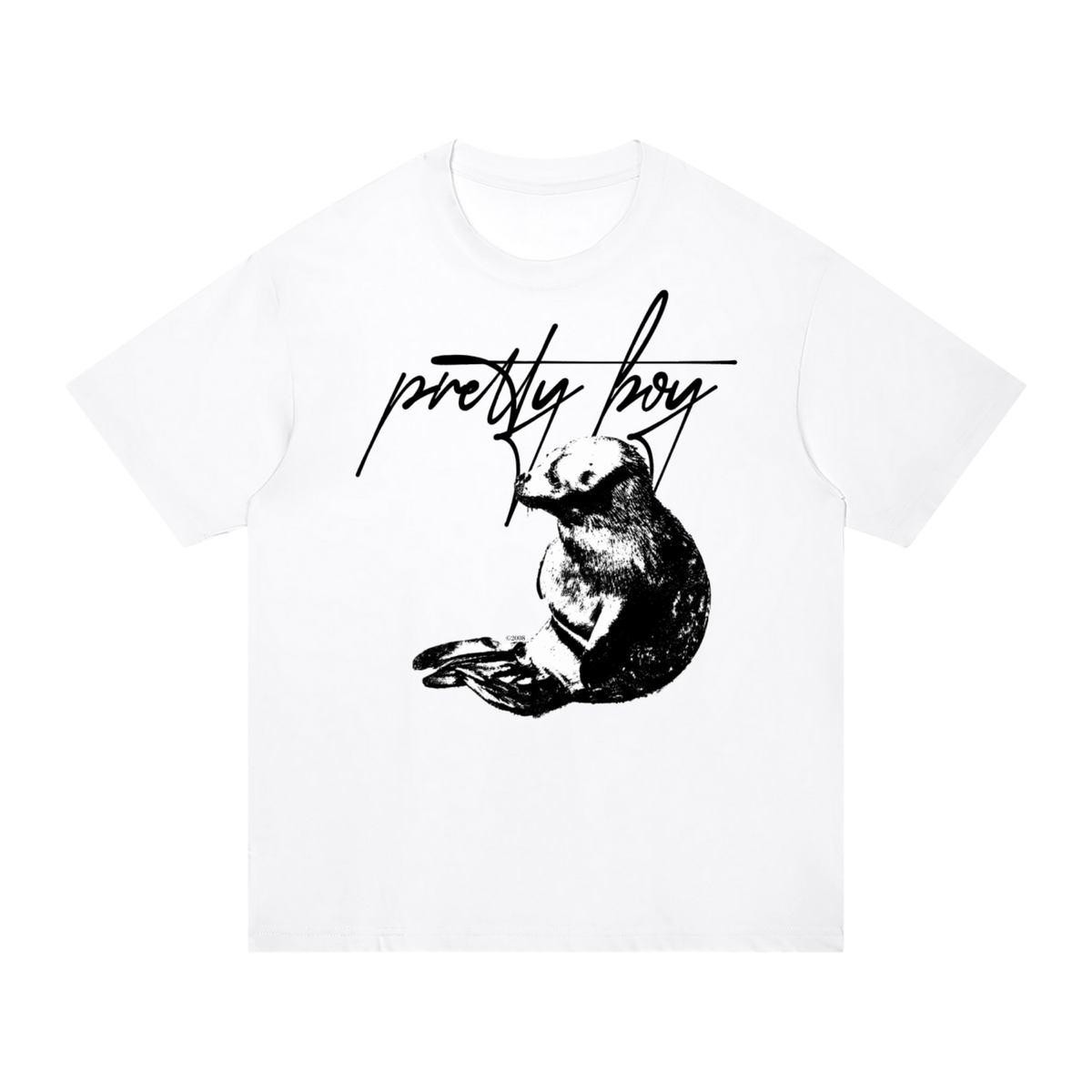 Pretty boy-Unisex Regular Fit Cotton T-Shirt