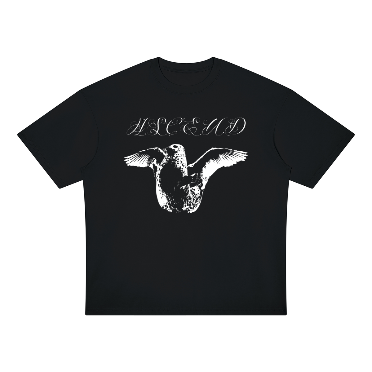 ASCEND-Drop Shoulder T-Shirt